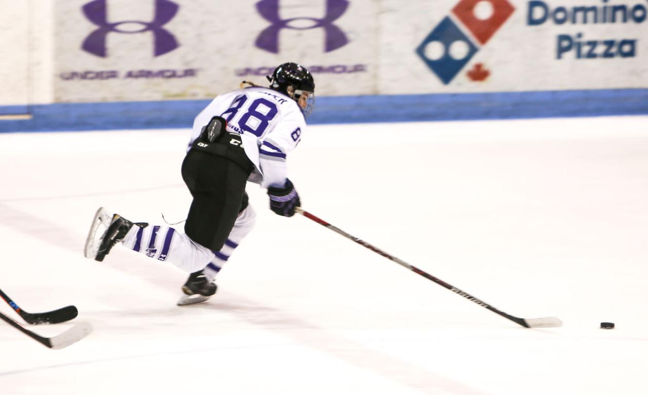 Women's Hockey vs Brock (Image 2)